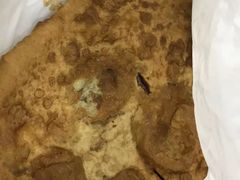 糖油饼-白魁老号饭庄(安内店)