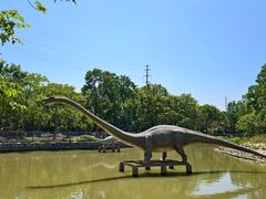 -上海海湾国家森林公园