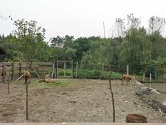 -溱湖国家湿地公园