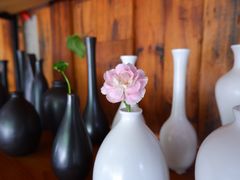 -彼芝奇比萨(红坊店)