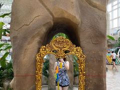 -杭州开元森泊度假乐园