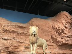 -浙江自然博物院(杭州馆)