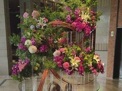 -浅深Cheersum(曹杨店)
