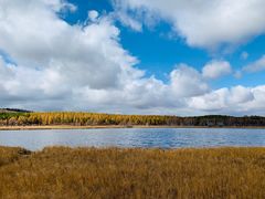 -塞罕坝国家级自然保护区