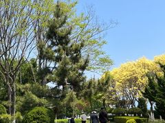 -黑石礁公园