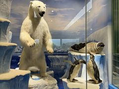 -国家自然博物馆