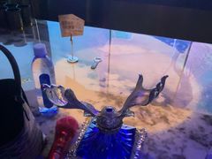 -温莎KTV(国贸店)