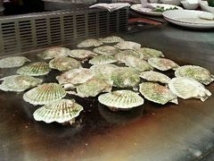 扇贝-大渔之观(安贞店)