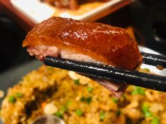-凤阁楼果木烧鹅(鹤山陈山店)