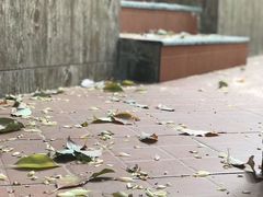 -一江春水·杭帮臻宴(三台山店)