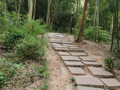 -宝界山林公园