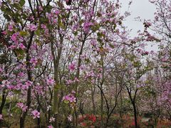 -南宁市凤岭儿童公园