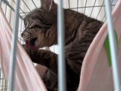 -猫的天空之城概念书店(北戴河蔚蓝海岸店)