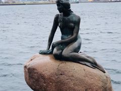 -美人鱼