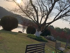 -重庆园博园