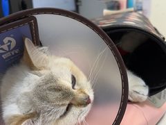 -美联众合24小时·皮肤科·外科·全科诊疗中心(华苑分院)