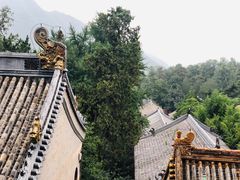 -潭柘寺景区