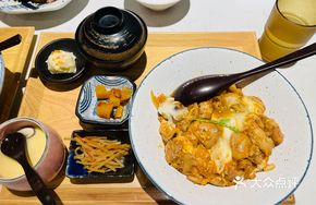 Parent-Child Donburi Set