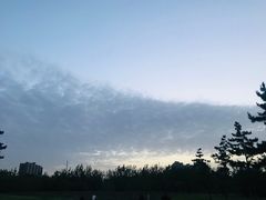 -汉长安城未央宫国家考古遗址公园