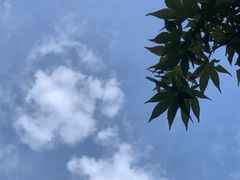 -西湖游船