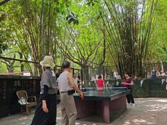 -晓港公园
