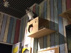 -小时光咖啡馆(开森度假森林店)