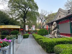 -白家大院·王府宫廷菜(苏州街店)