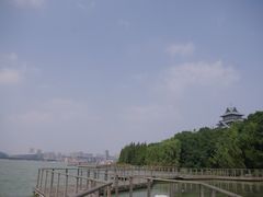 -金鸡湖桃花岛