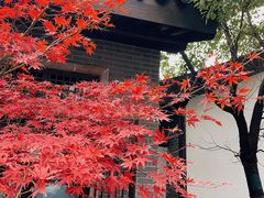 -同里国家湿地公园