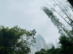 -明仕田园