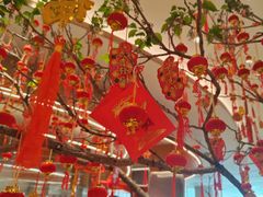 -水之梦(黄浦店)