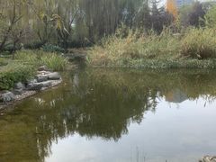 -木塔寺遗址生态公园