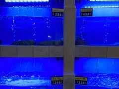 -大榭国际大酒店-中餐厅