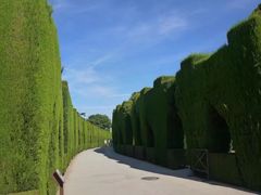 -阿尔罕布拉宫