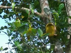 android_upload_pic-红色娘子军纪念园