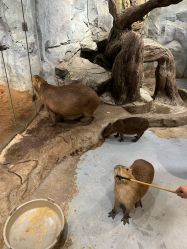 -Zoolung Zoolung动物主题公园(海信广场店)