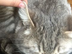 -天使咖啡(兴新街店)