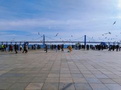 -星海湾跨海大桥