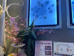 -丝域养发馆