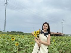 -杭州湾海上花田景区