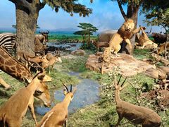 -国家自然博物馆