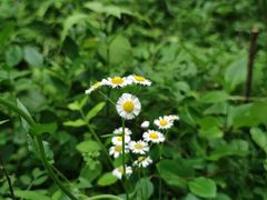 -西湖风景区-江洋畈生态公园