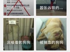 中农大我爱我爱动物医院(总院)-中农大我爱我爱动物医院(甜水园店)