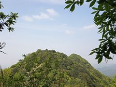-午潮山国家森林公园