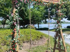 -西山漾湿地公园