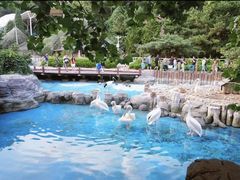 -大连老虎滩海洋公园