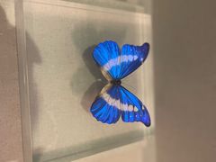 -青藏高原自然博物馆