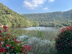 -桃花岭景区