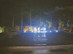 -深圳隐秀山居酒店