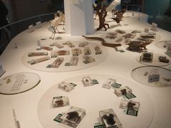 -漩门湾国家湿地公园